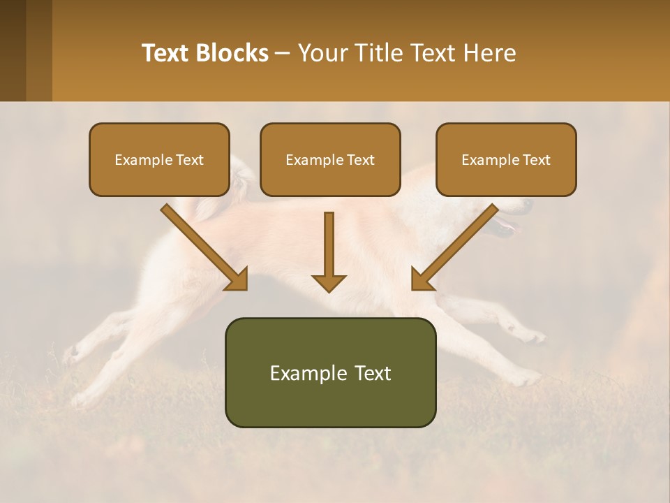 A Brown And White Dog Jumping In The Air PowerPoint Template