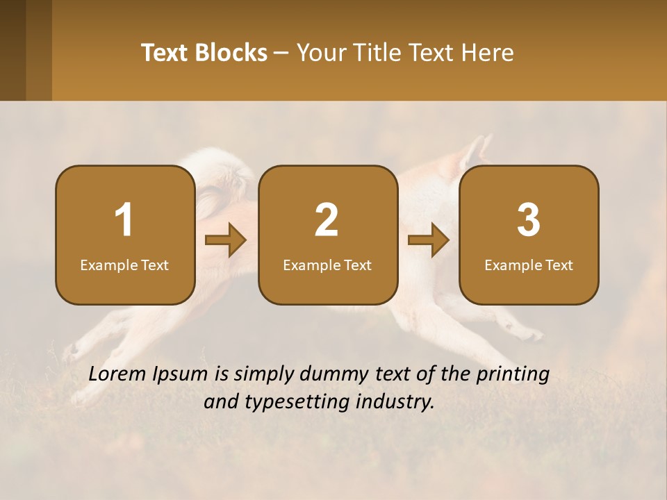 A Brown And White Dog Jumping In The Air PowerPoint Template