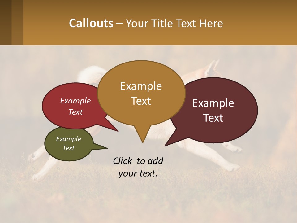 A Brown And White Dog Jumping In The Air PowerPoint Template