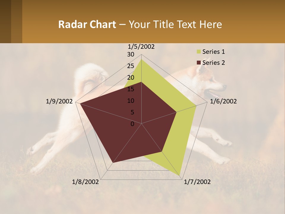 A Brown And White Dog Jumping In The Air PowerPoint Template