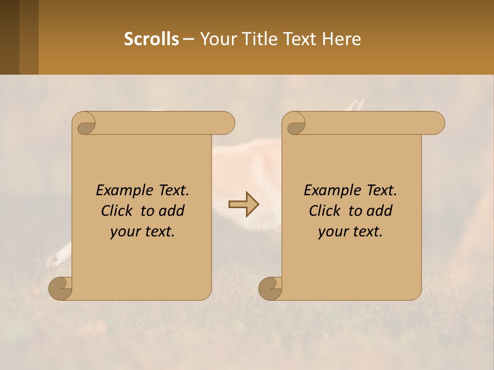 A Brown And White Dog Jumping In The Air PowerPoint Template