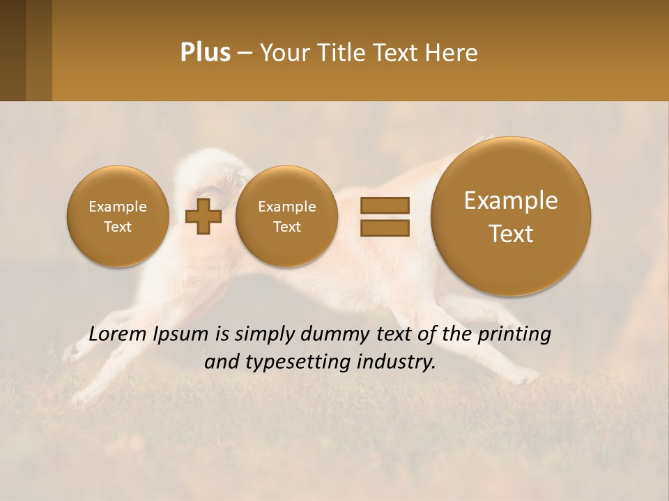 A Brown And White Dog Jumping In The Air PowerPoint Template