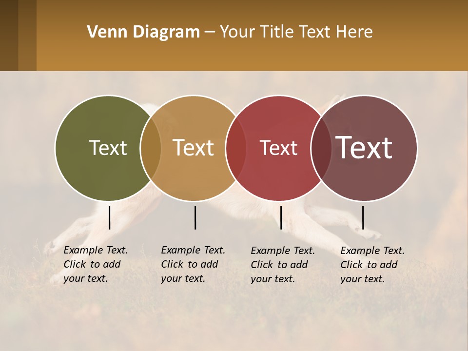 A Brown And White Dog Jumping In The Air PowerPoint Template