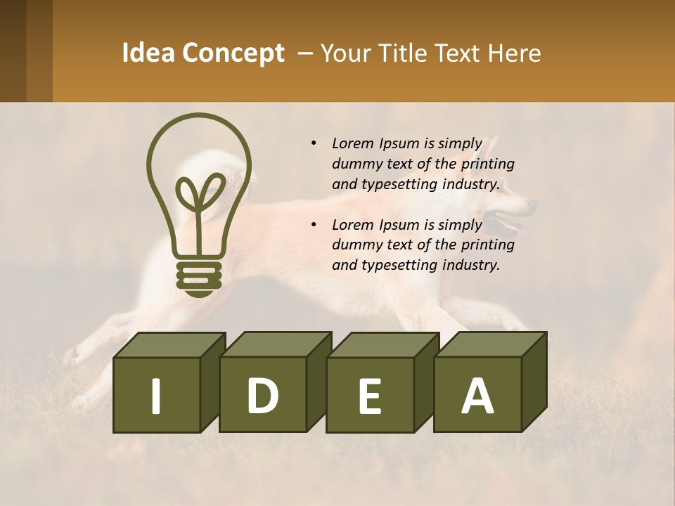 A Brown And White Dog Jumping In The Air PowerPoint Template