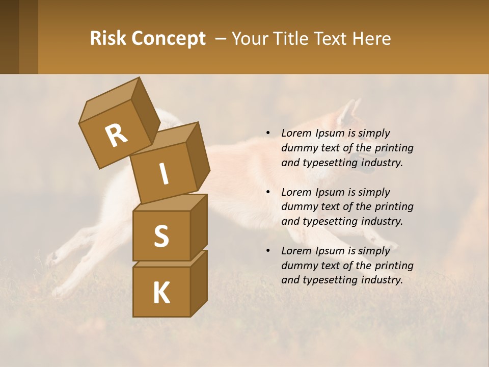 A Brown And White Dog Jumping In The Air PowerPoint Template