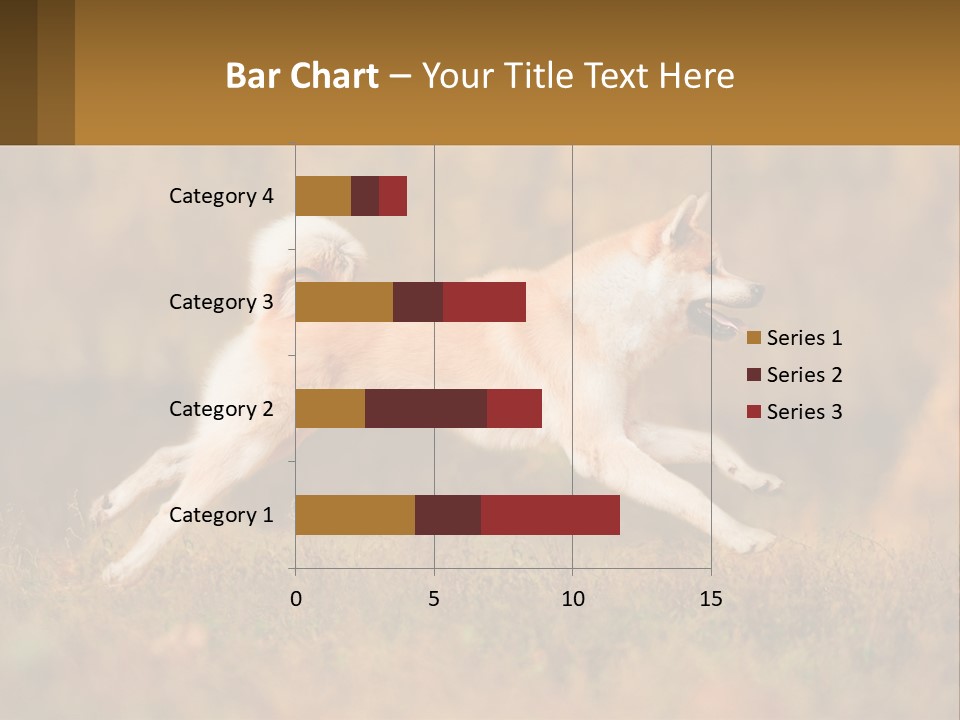 A Brown And White Dog Jumping In The Air PowerPoint Template