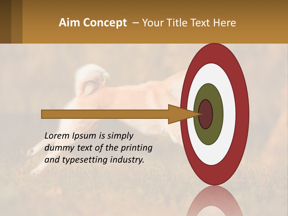 A Brown And White Dog Jumping In The Air PowerPoint Template