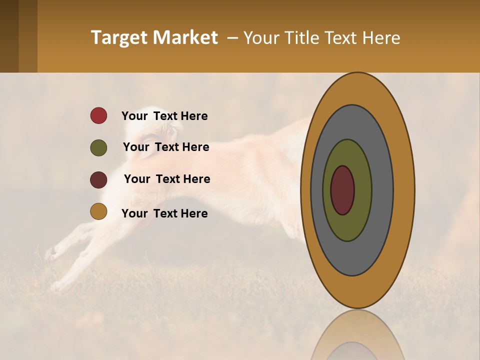 A Brown And White Dog Jumping In The Air PowerPoint Template