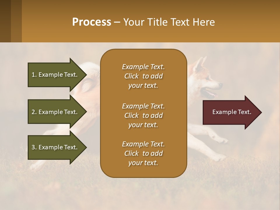 A Brown And White Dog Jumping In The Air PowerPoint Template