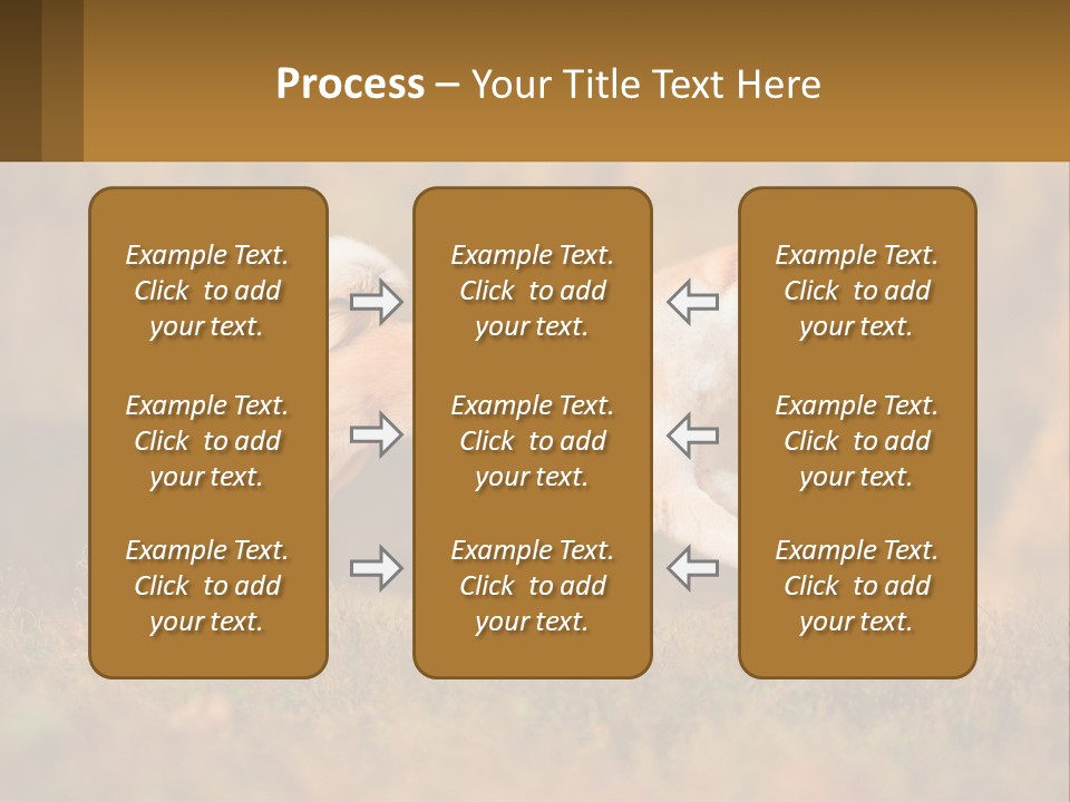 A Brown And White Dog Jumping In The Air PowerPoint Template