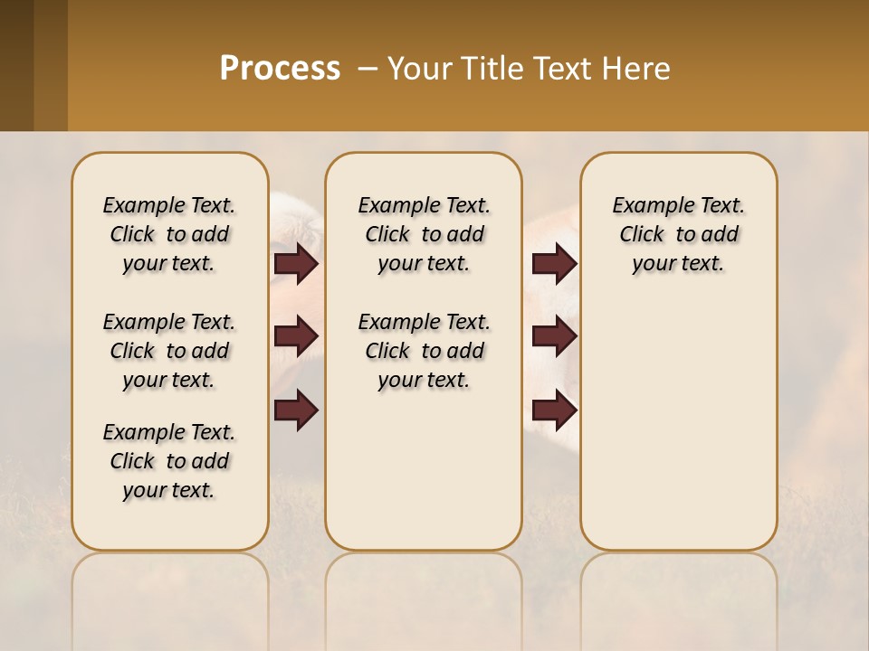 A Brown And White Dog Jumping In The Air PowerPoint Template