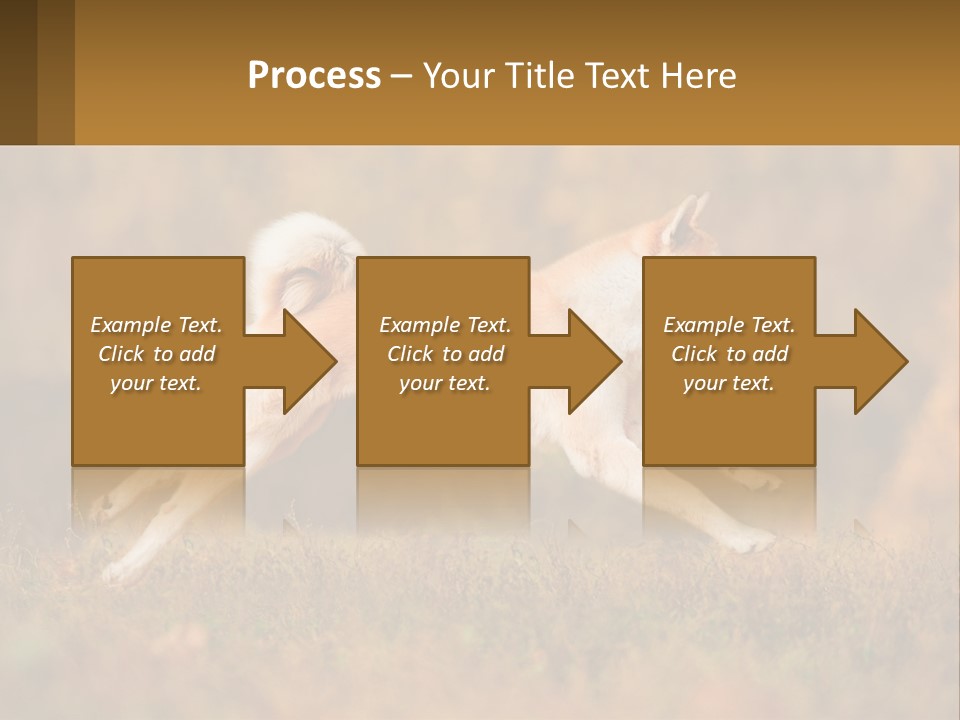 A Brown And White Dog Jumping In The Air PowerPoint Template