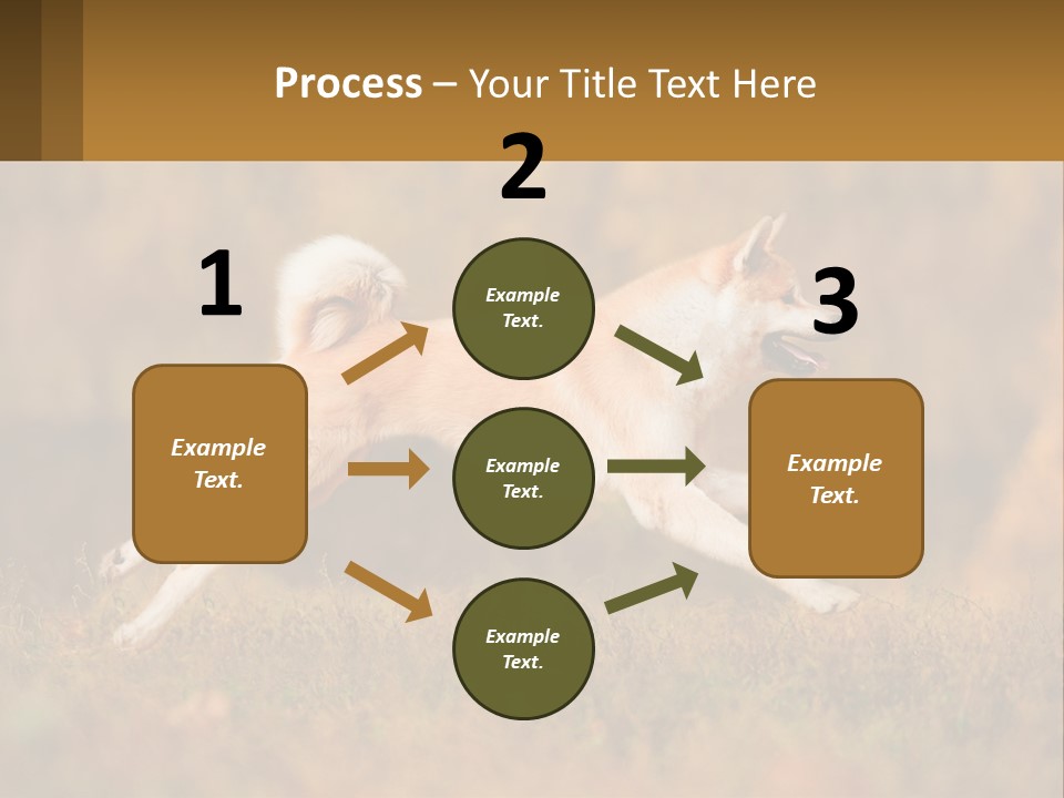 A Brown And White Dog Jumping In The Air PowerPoint Template