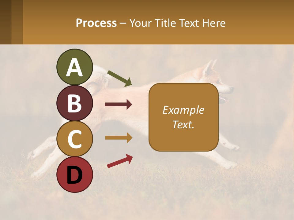 A Brown And White Dog Jumping In The Air PowerPoint Template