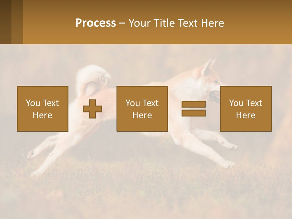 A Brown And White Dog Jumping In The Air PowerPoint Template