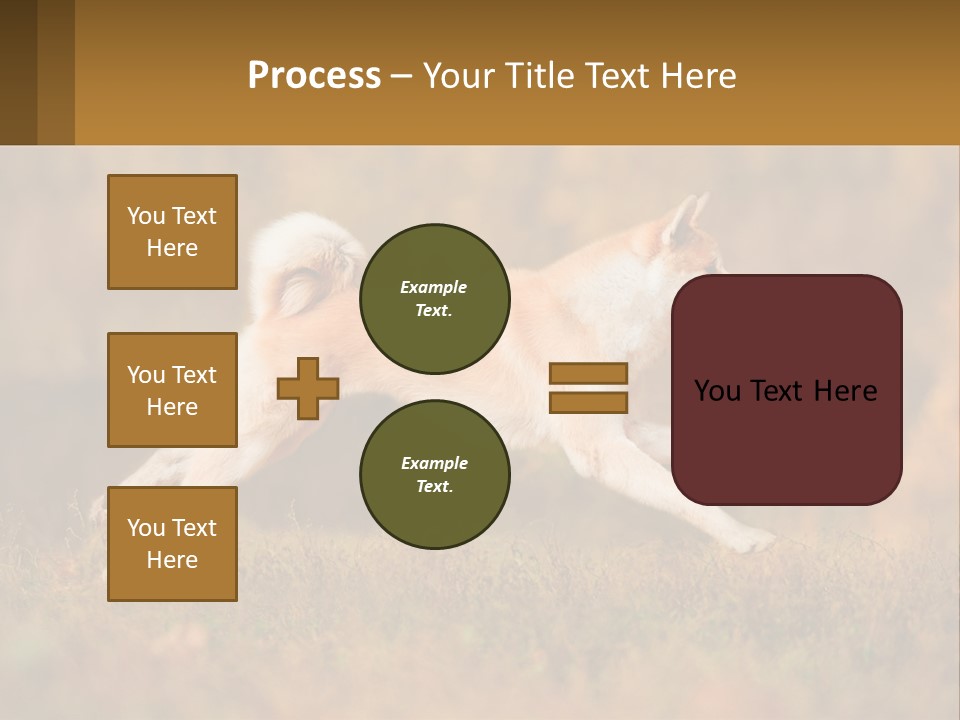 A Brown And White Dog Jumping In The Air PowerPoint Template