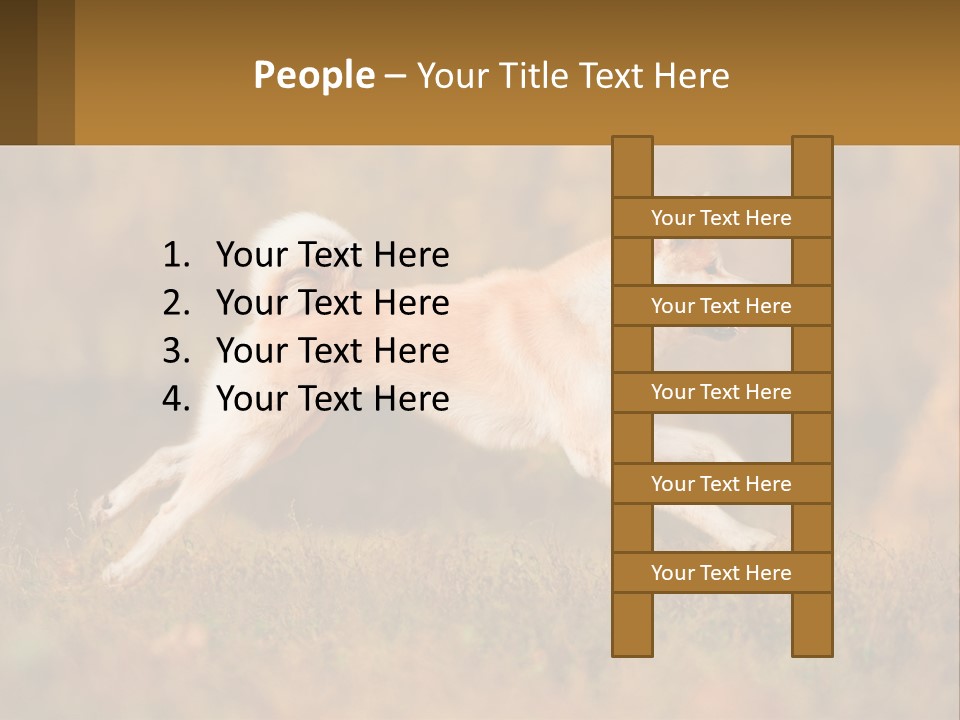A Brown And White Dog Jumping In The Air PowerPoint Template
