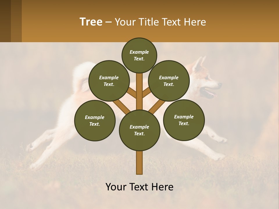 A Brown And White Dog Jumping In The Air PowerPoint Template