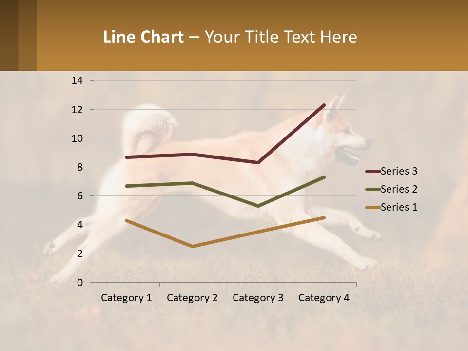 A Brown And White Dog Jumping In The Air PowerPoint Template