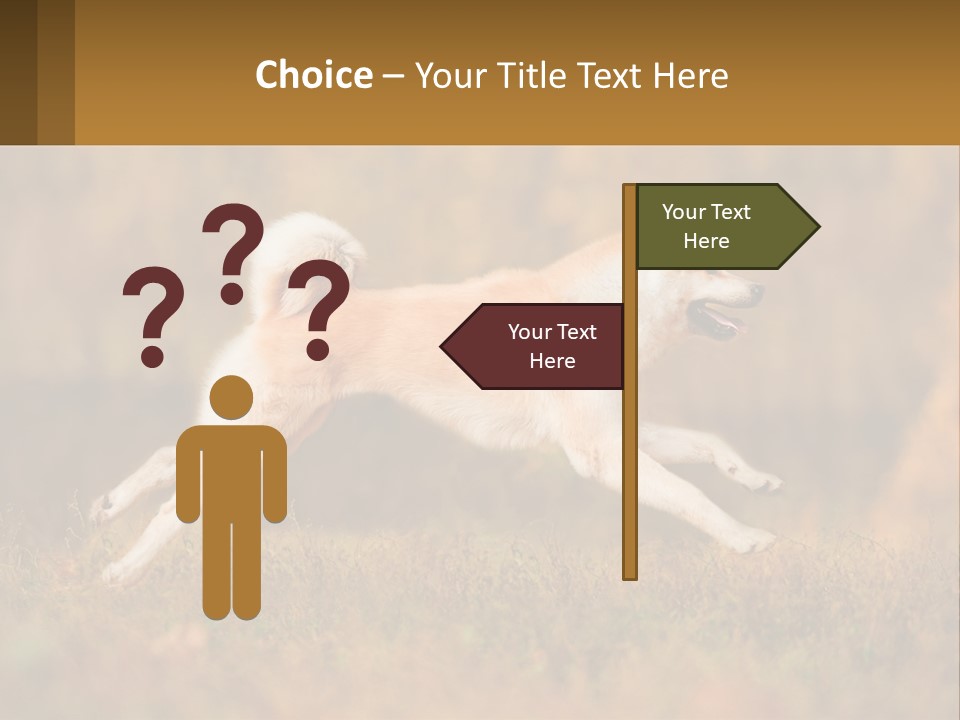 A Brown And White Dog Jumping In The Air PowerPoint Template