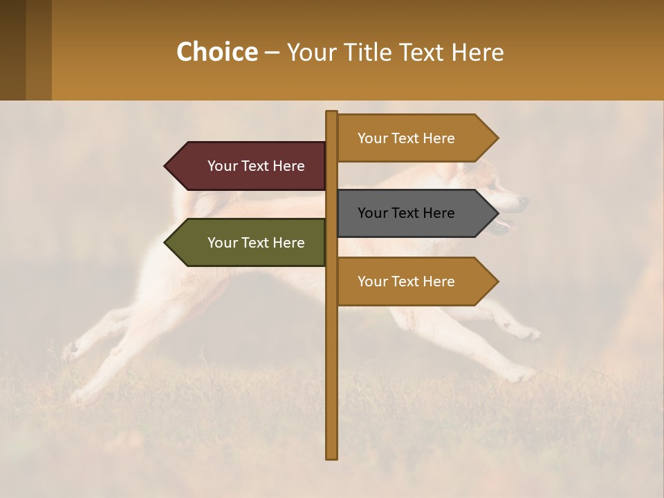 A Brown And White Dog Jumping In The Air PowerPoint Template