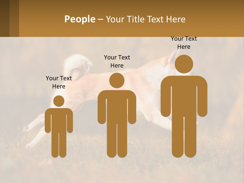 A Brown And White Dog Jumping In The Air PowerPoint Template