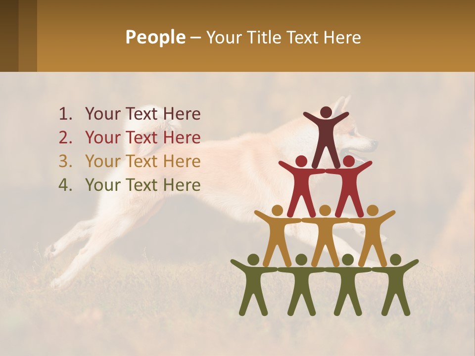 A Brown And White Dog Jumping In The Air PowerPoint Template