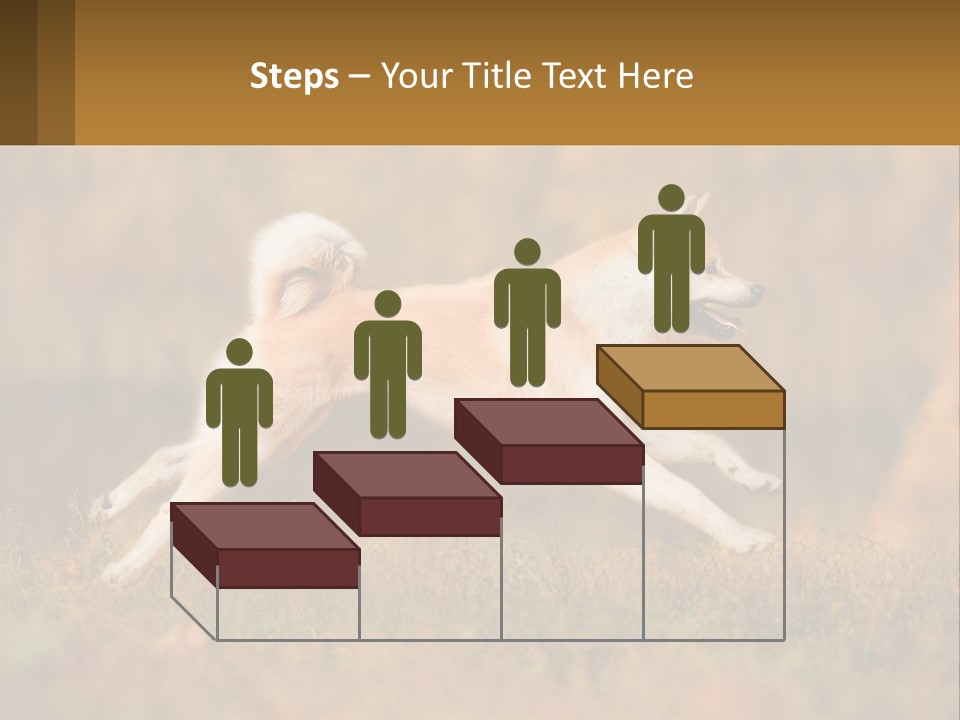 A Brown And White Dog Jumping In The Air PowerPoint Template