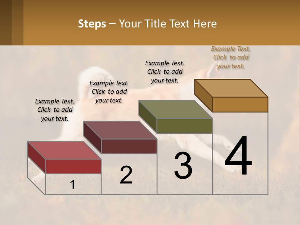 A Brown And White Dog Jumping In The Air PowerPoint Template