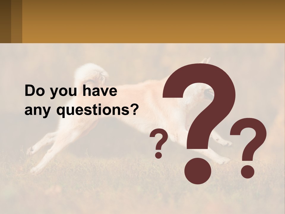 A Brown And White Dog Jumping In The Air PowerPoint Template