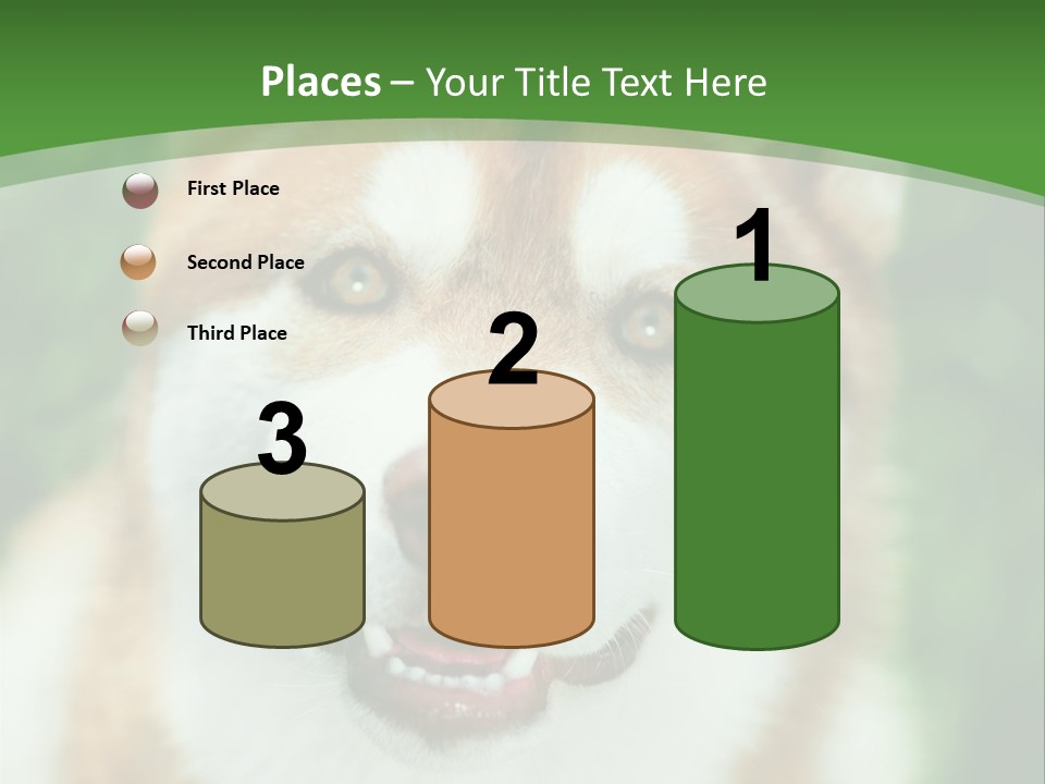 A Brown And White Dog With A Green Background PowerPoint Template