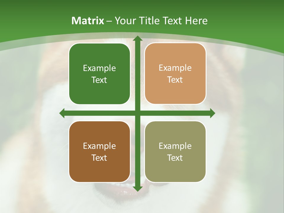 A Brown And White Dog With A Green Background PowerPoint Template