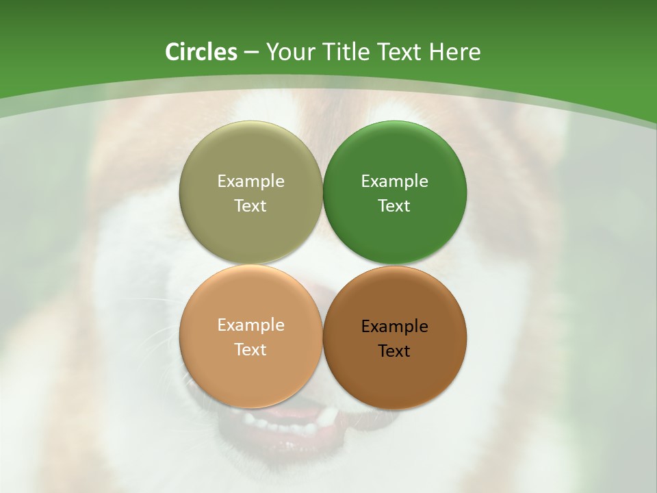 A Brown And White Dog With A Green Background PowerPoint Template