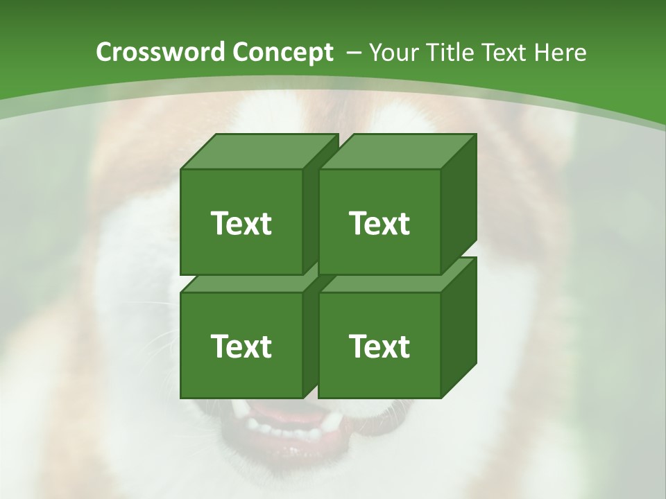 A Brown And White Dog With A Green Background PowerPoint Template