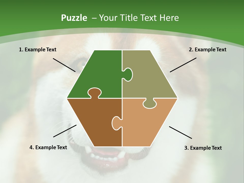 A Brown And White Dog With A Green Background PowerPoint Template