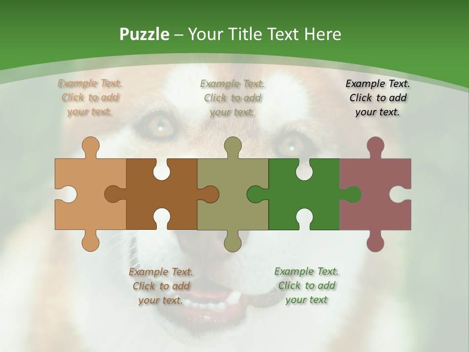 A Brown And White Dog With A Green Background PowerPoint Template