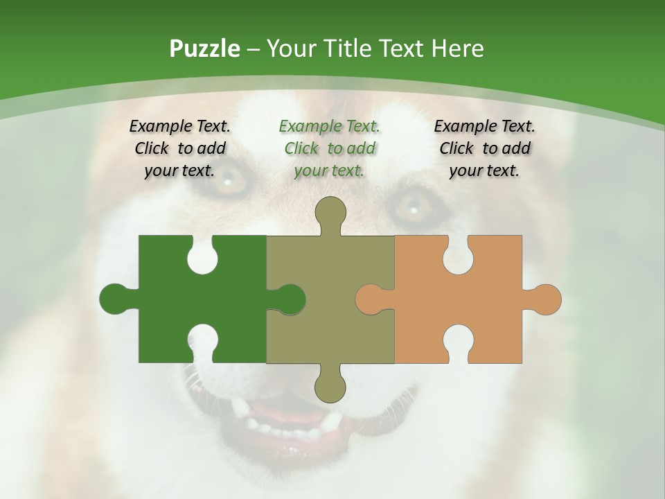 A Brown And White Dog With A Green Background PowerPoint Template