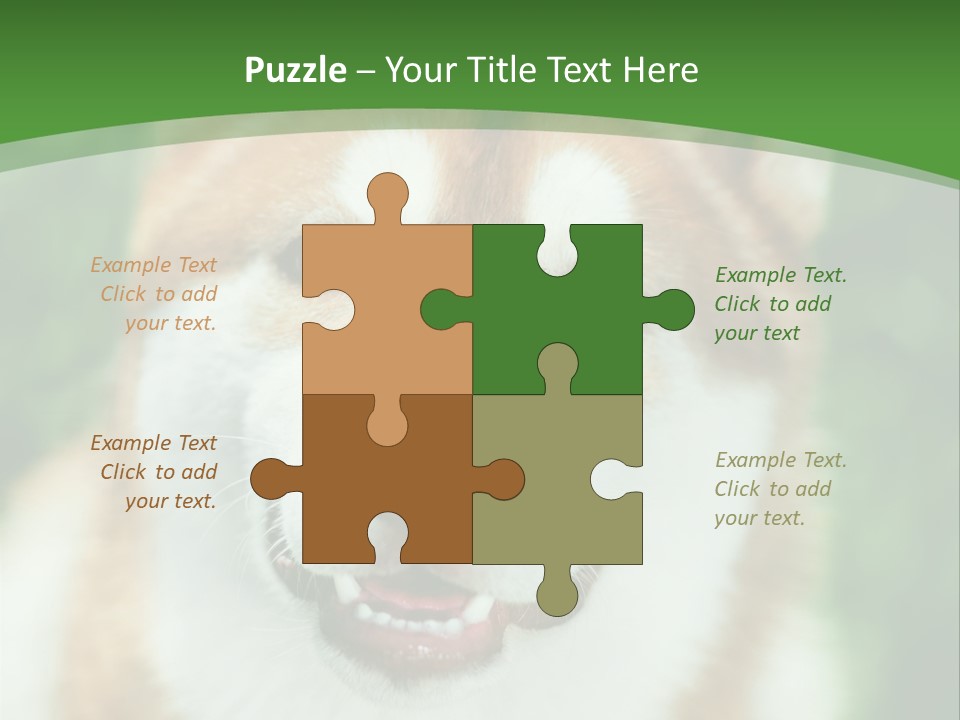 A Brown And White Dog With A Green Background PowerPoint Template