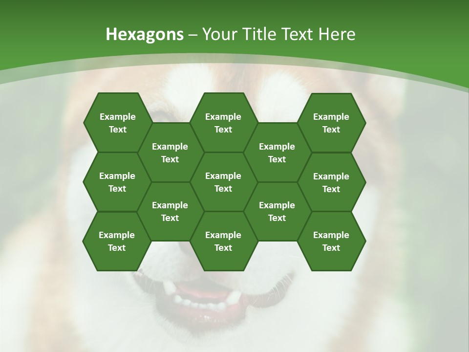 A Brown And White Dog With A Green Background PowerPoint Template