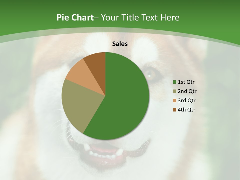 A Brown And White Dog With A Green Background PowerPoint Template