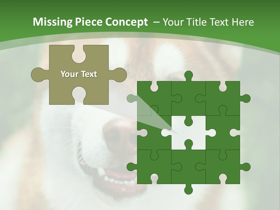 A Brown And White Dog With A Green Background PowerPoint Template