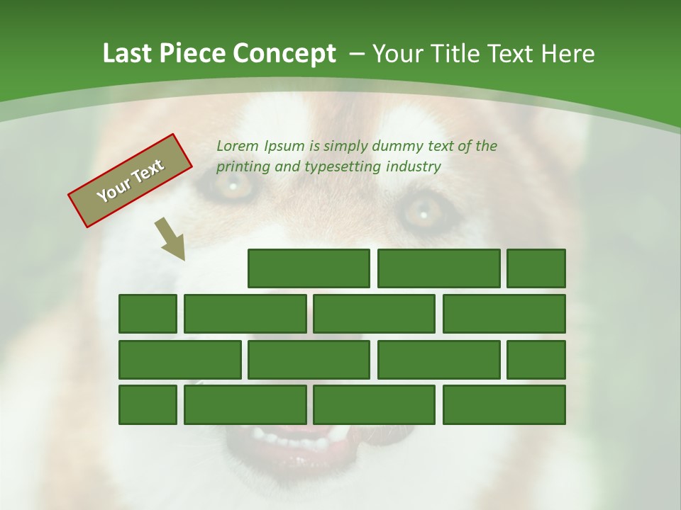 A Brown And White Dog With A Green Background PowerPoint Template