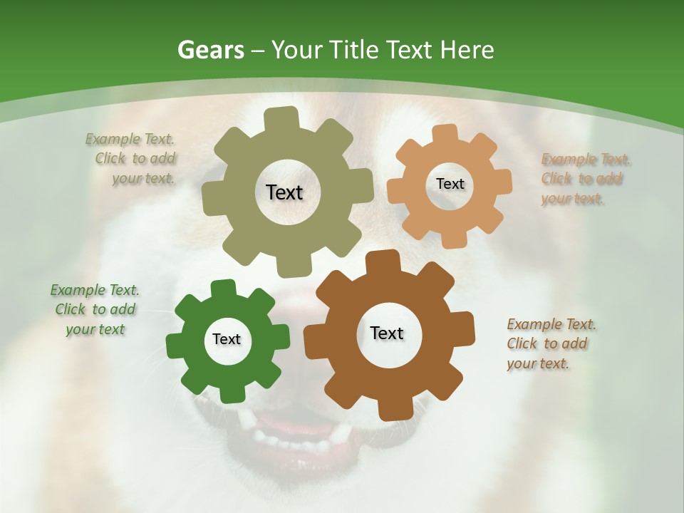 A Brown And White Dog With A Green Background PowerPoint Template