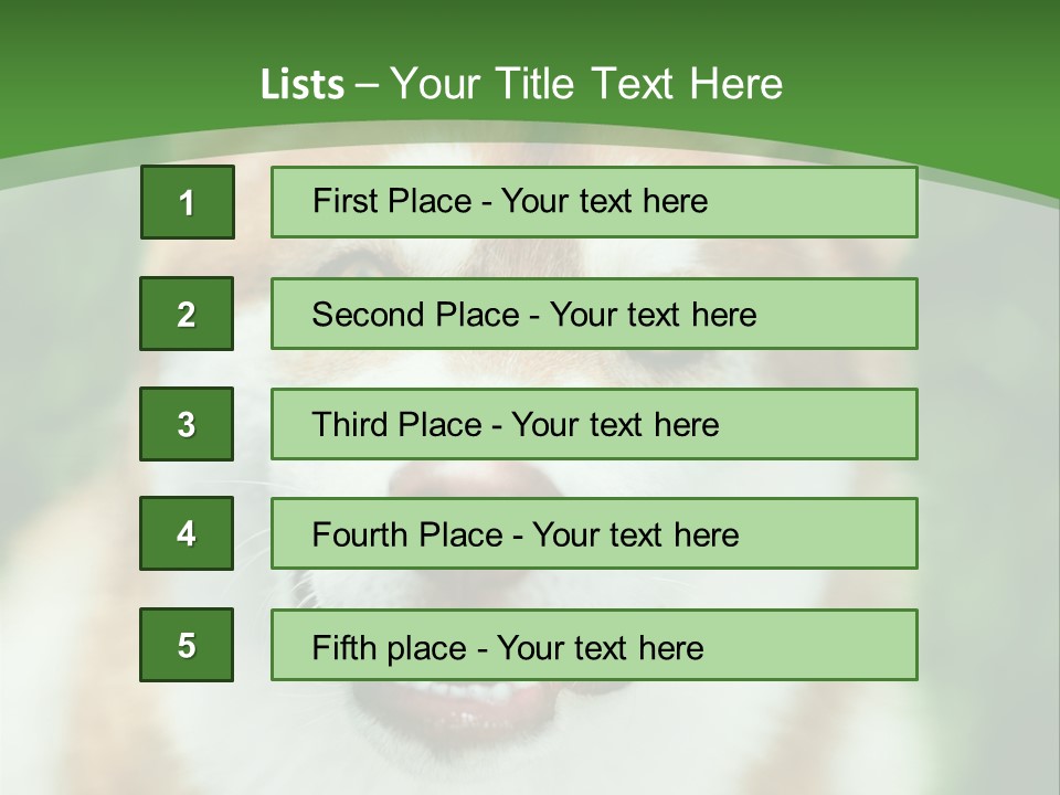 A Brown And White Dog With A Green Background PowerPoint Template