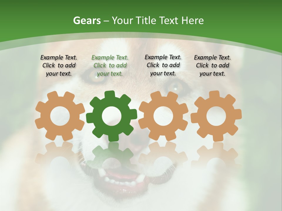 A Brown And White Dog With A Green Background PowerPoint Template