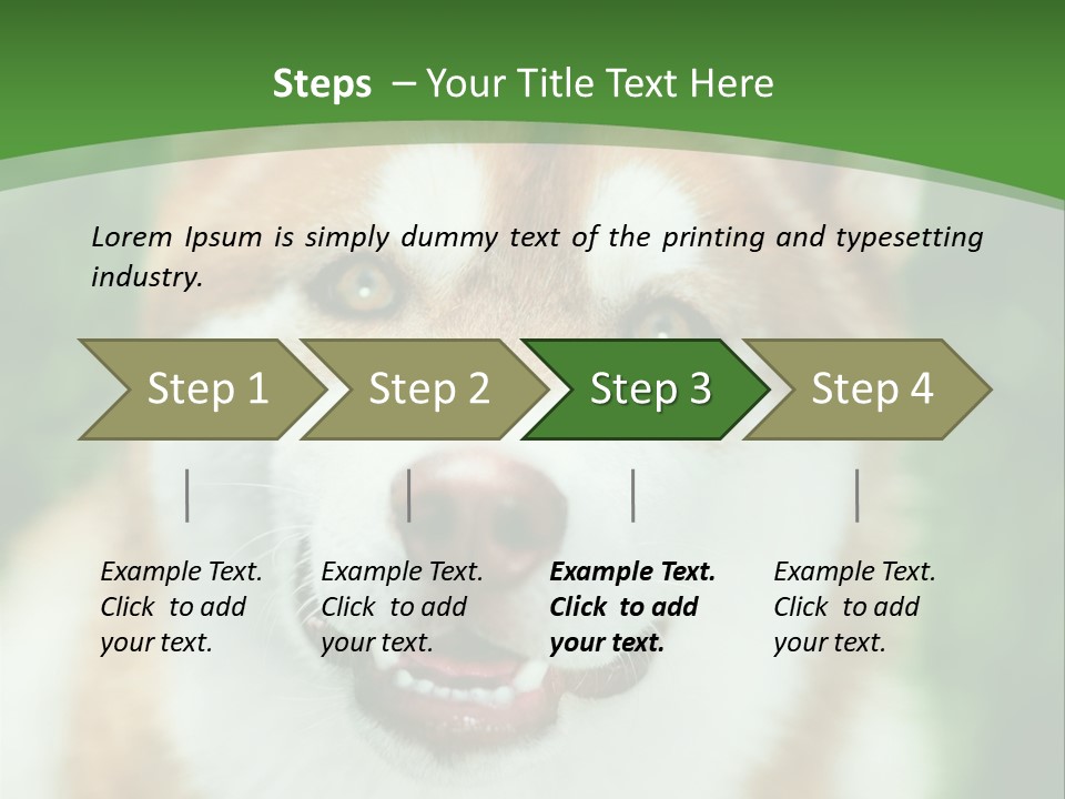 A Brown And White Dog With A Green Background PowerPoint Template