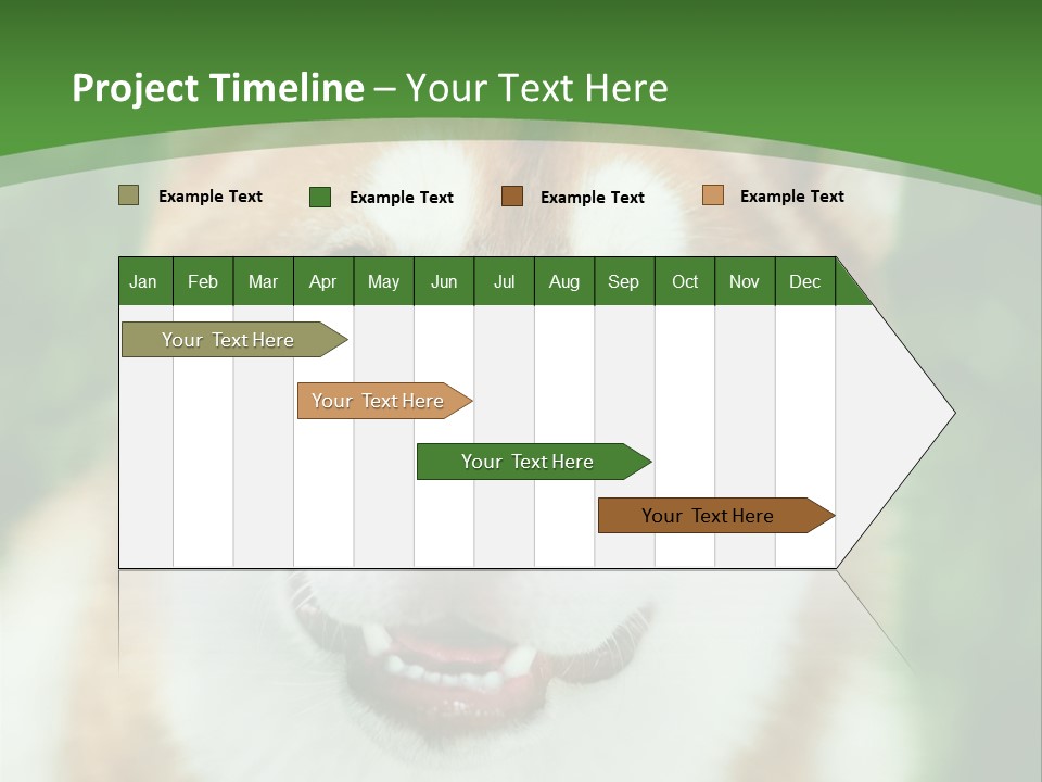 A Brown And White Dog With A Green Background PowerPoint Template