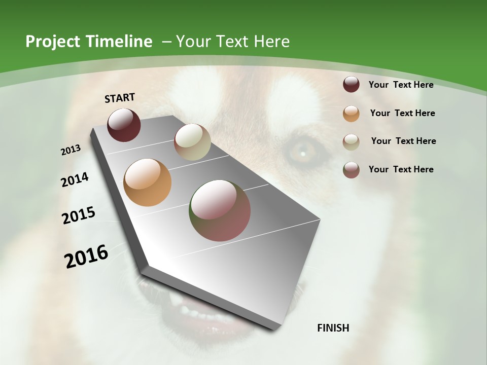 A Brown And White Dog With A Green Background PowerPoint Template