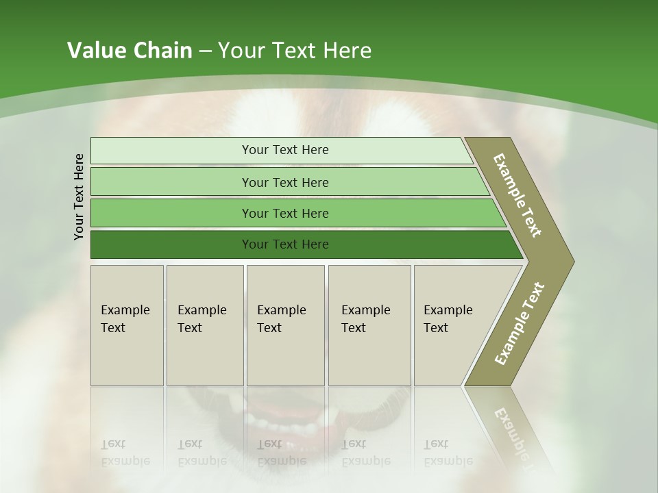 A Brown And White Dog With A Green Background PowerPoint Template