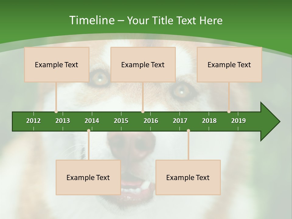 A Brown And White Dog With A Green Background PowerPoint Template